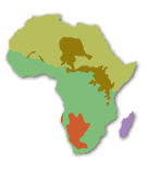 African Language Map